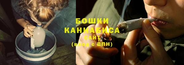 шишки Балахна