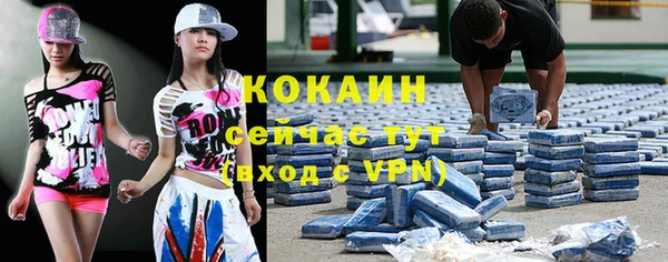 шишки Балахна