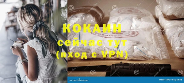 шишки Балахна