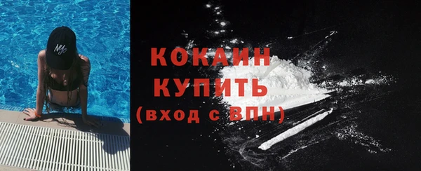 шишки Балахна