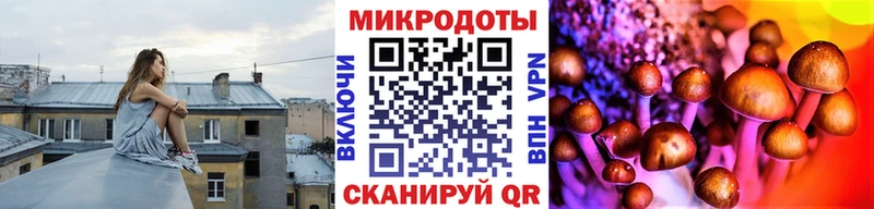 Псилоцибиновые грибы ЛСД  Кубинка 